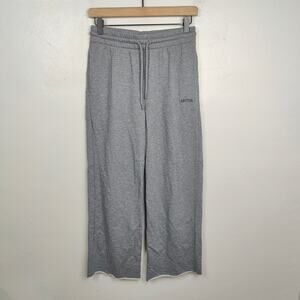 Aritzia Terry Sweatfleece Boyfriend Wide Sweatpant Womens XS‎ Gray Heather